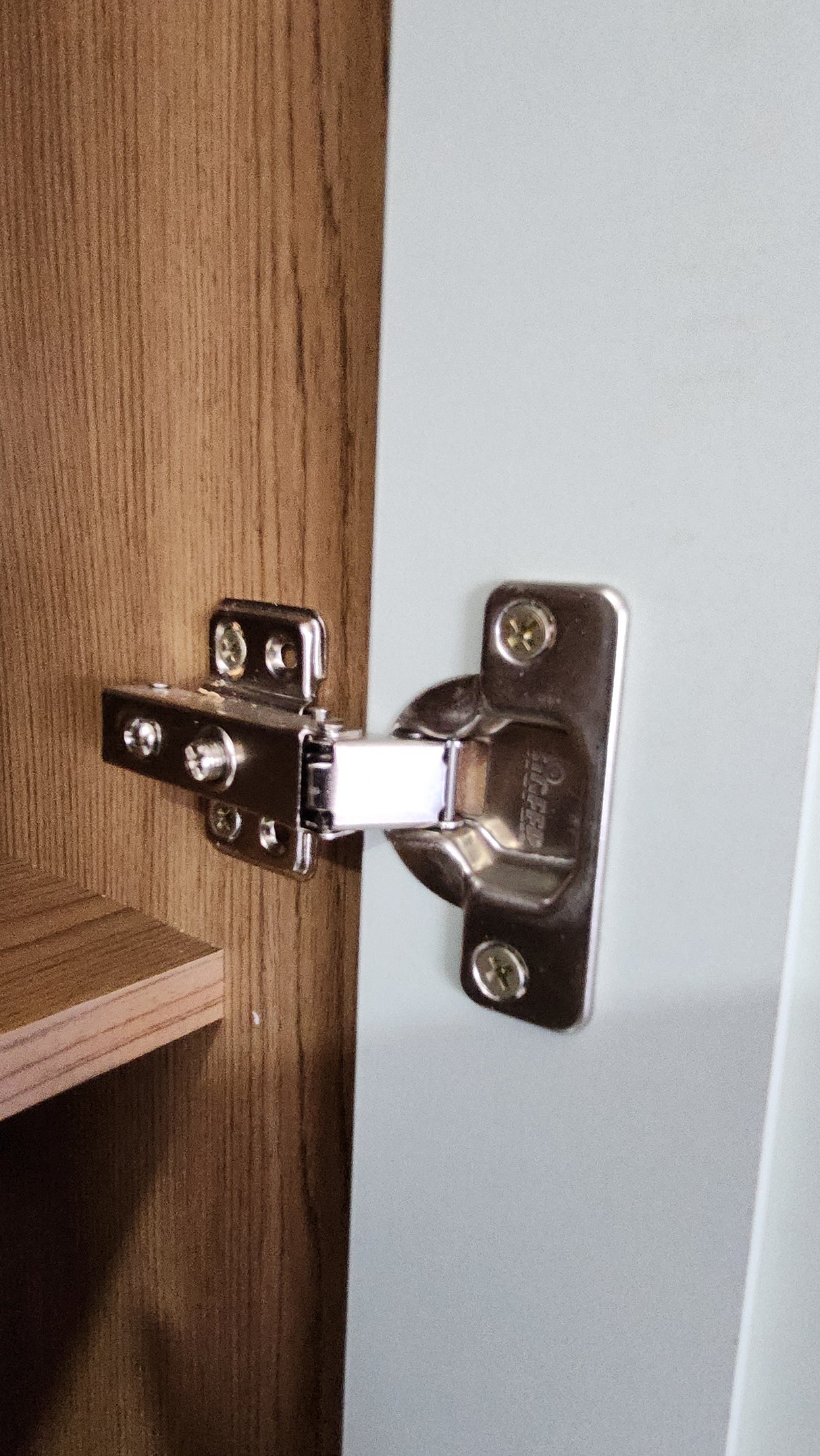 Despensa Alta de Cocina 600 Studio Verde Menta 2 Puertas y Porta Botellas 1516.0001