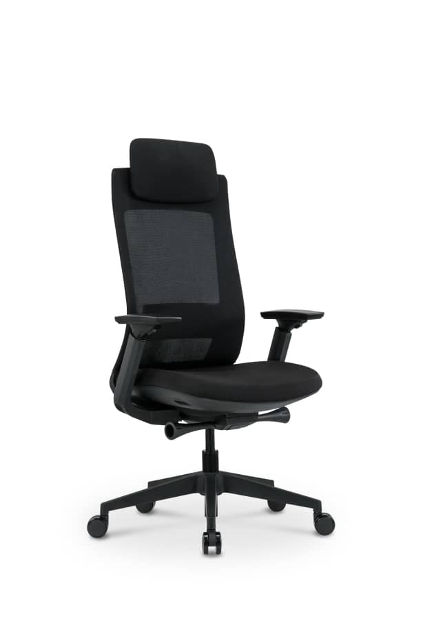 Silla de Oficina Vlad Negro + Cabecera