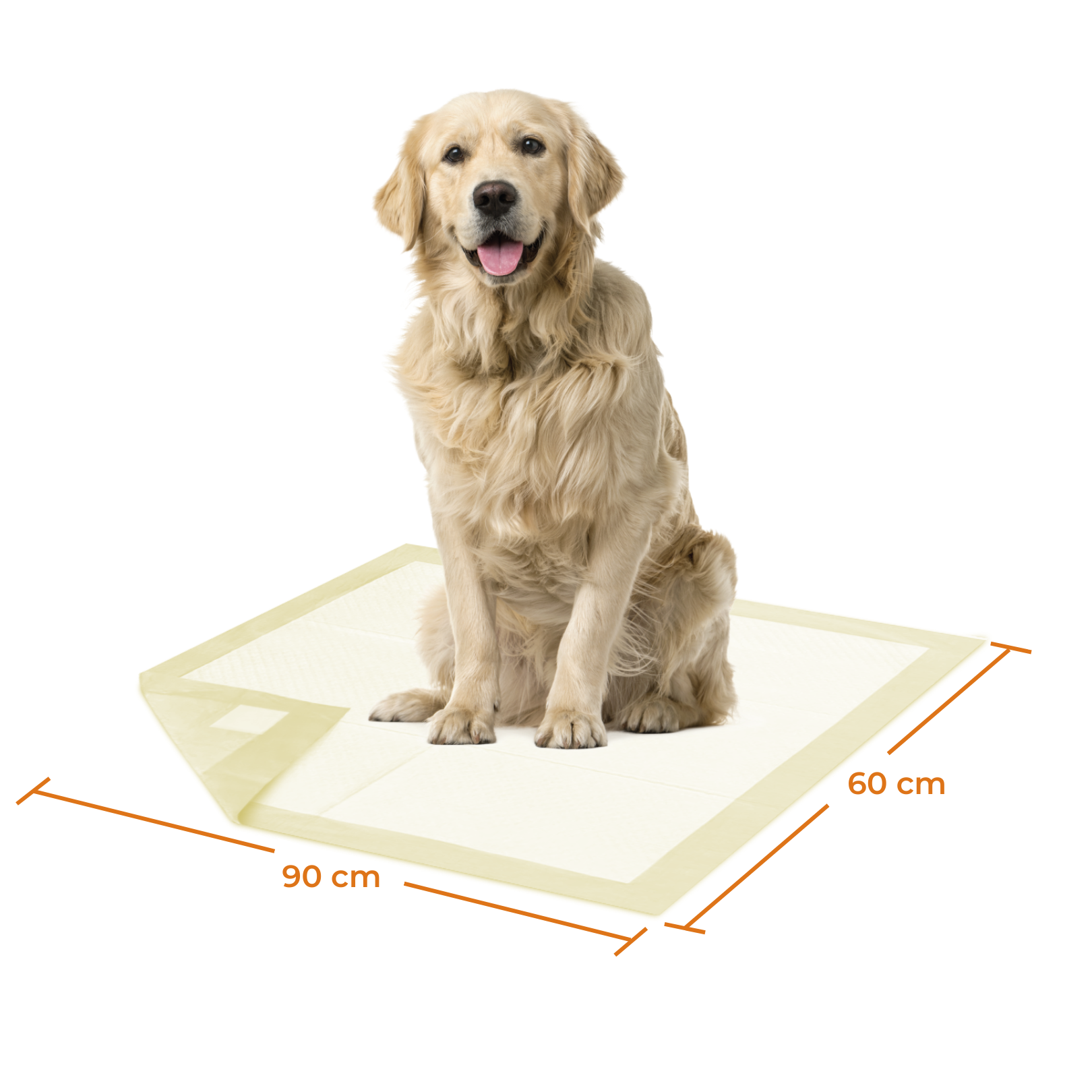 Sabanillas de Entrenamiento para Mascotas Zooper Dog Pad Talla XL 10 Un