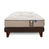 Cama Europea Dual Sensity 1.5 plazas Box