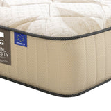 Cama Europea Dual Sensity 1.5 plazas Box