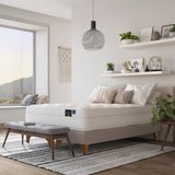 Cama Europea Calma Pocket King + Respaldo Tubular Beige