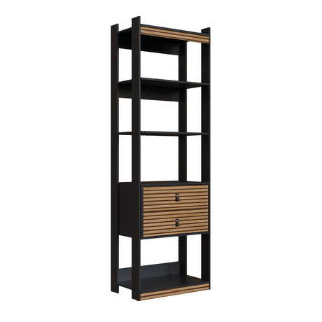 Closet Organizador 2 Cajones Amber Negro 3008.0001
